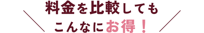 料金を比較してもこんなにお得!
